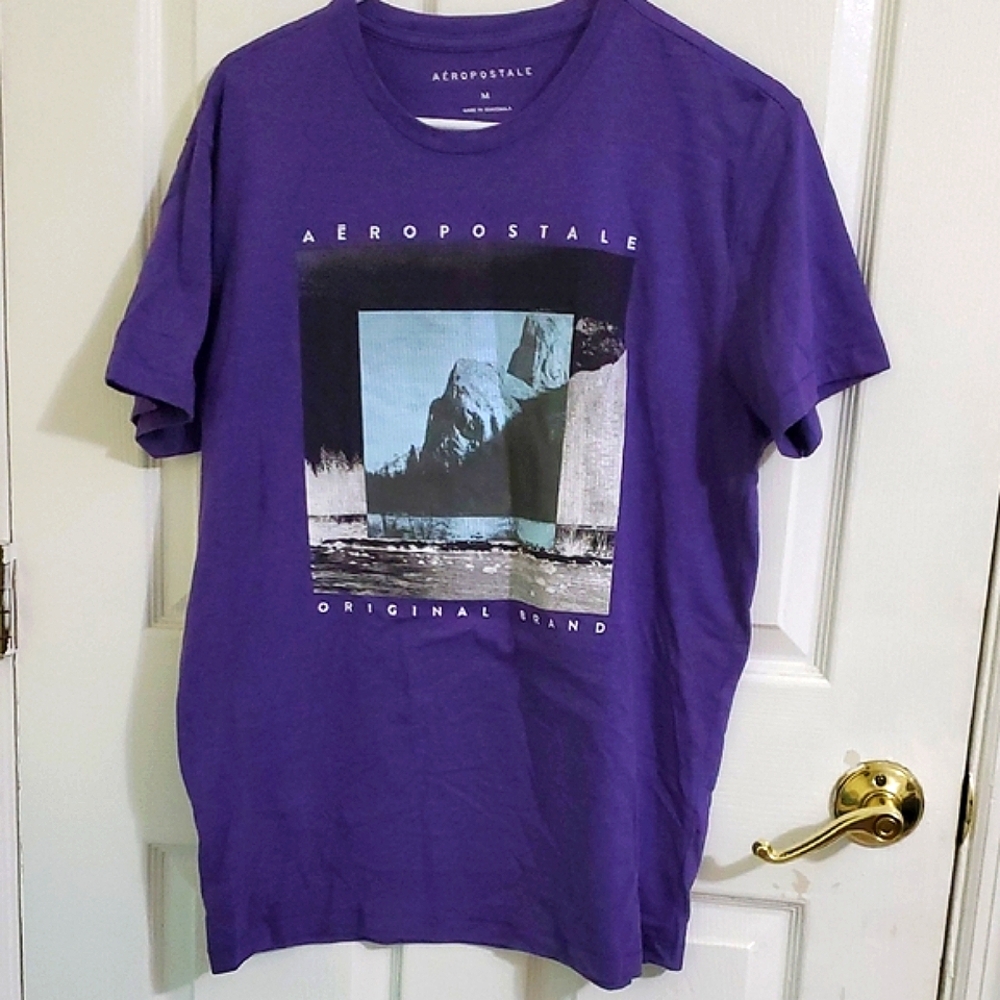 Aeropostale Purple Retro Y2K Outdoor Mountains Graphic Short Sleeves Tee M